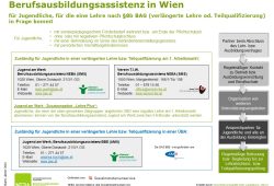 Übersicht Berufsausbildungsassistenz Wien (PDF)